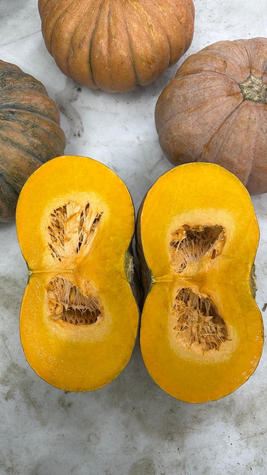 Fresh pumpkin