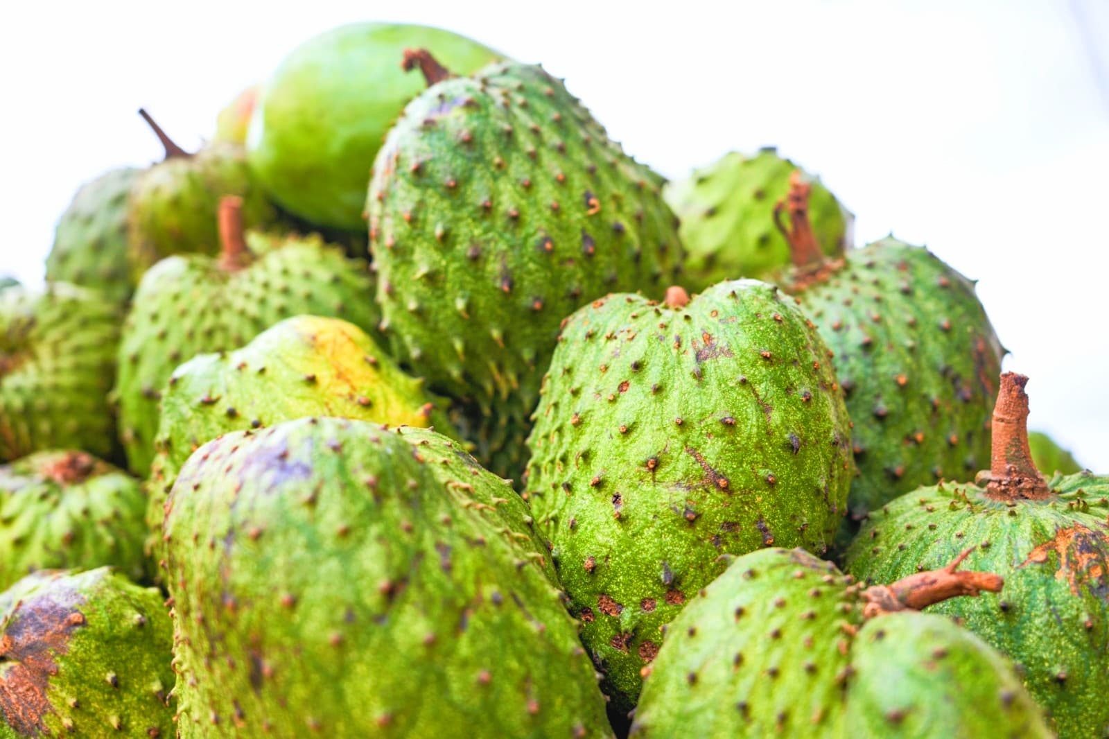 Guanabana - image 1
